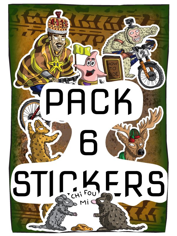 Pack de 6 stickers Shred hard Ride wild