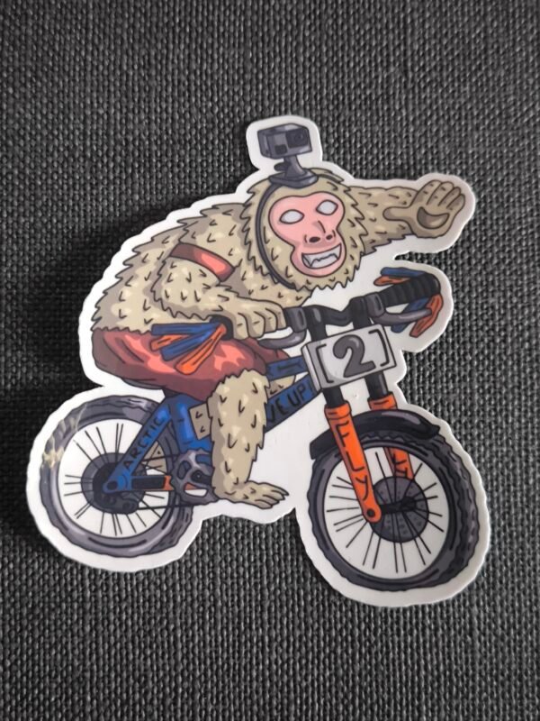 Pack de 6 stickers Shred hard Ride wild